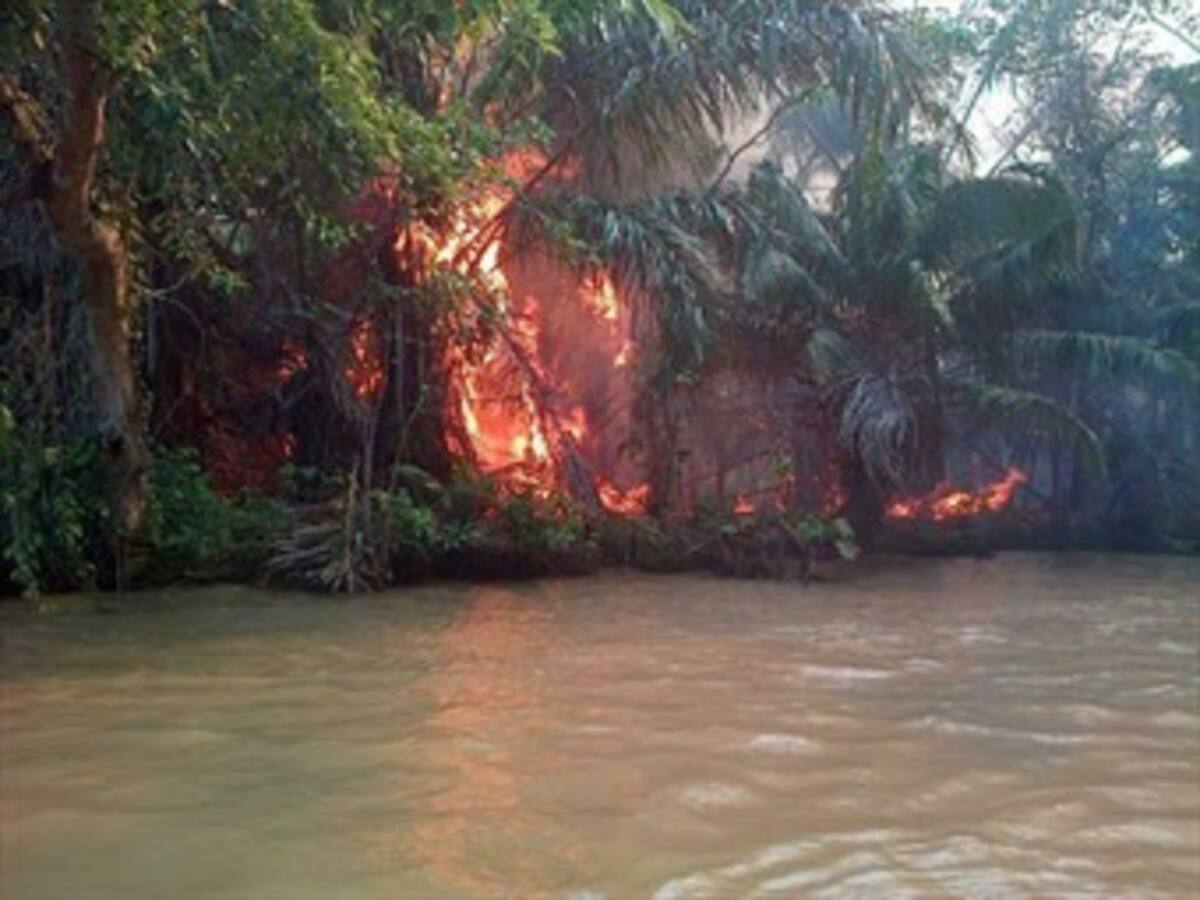 Incendio forestal ha afectado más de 2.500 hectáreas de bosque en Chocó