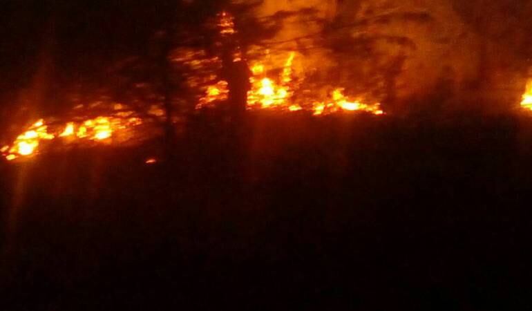 Incendio Forestal