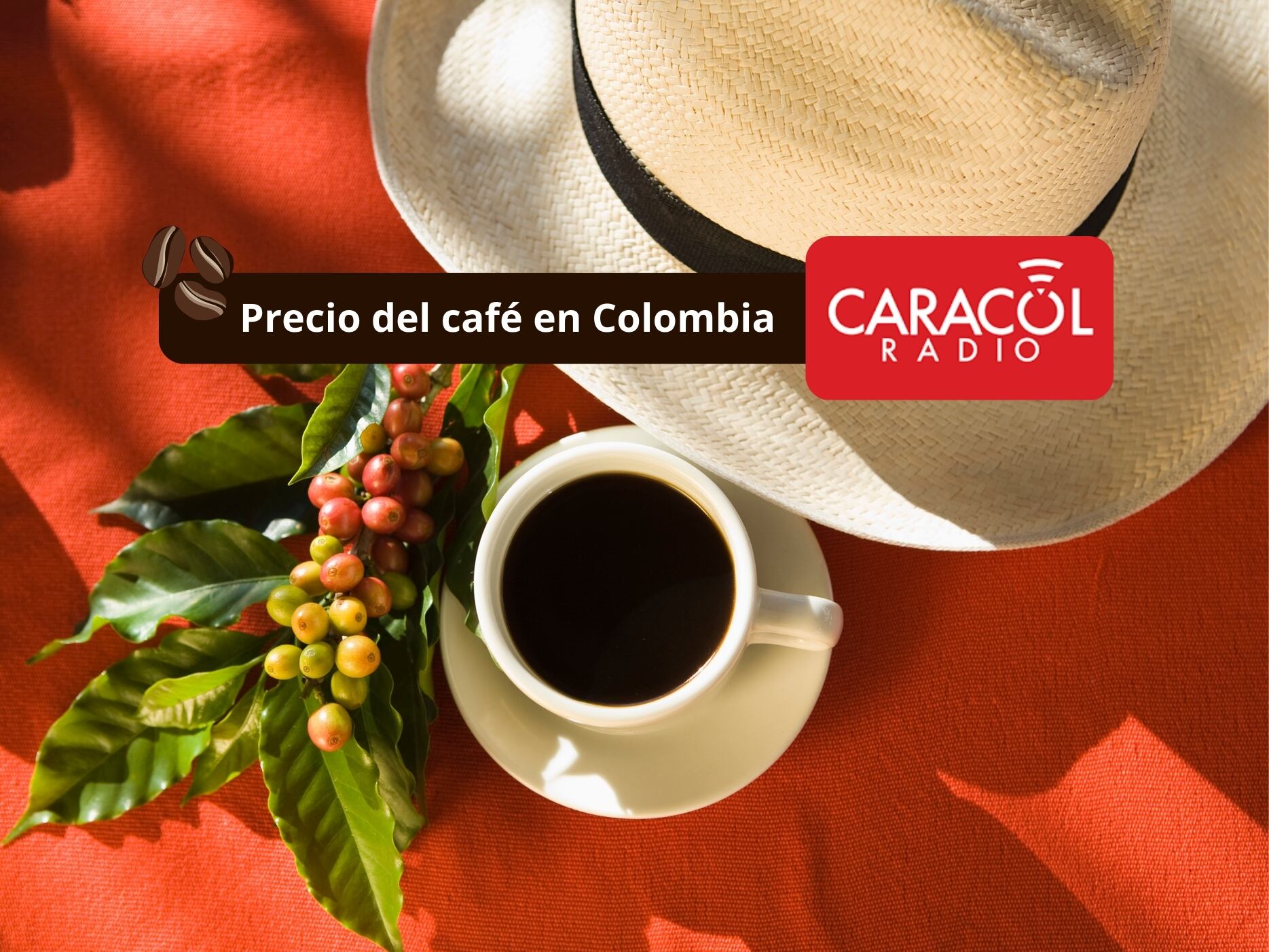 En portada: En plano picado un pocillo de café encima de un plato, una mata de café al lado y un sombrero arriero, símbolos representativos de Colombia (Crédito: Getty Images)