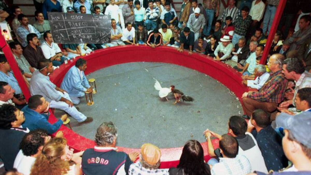 ¿Qué significa descrestar?