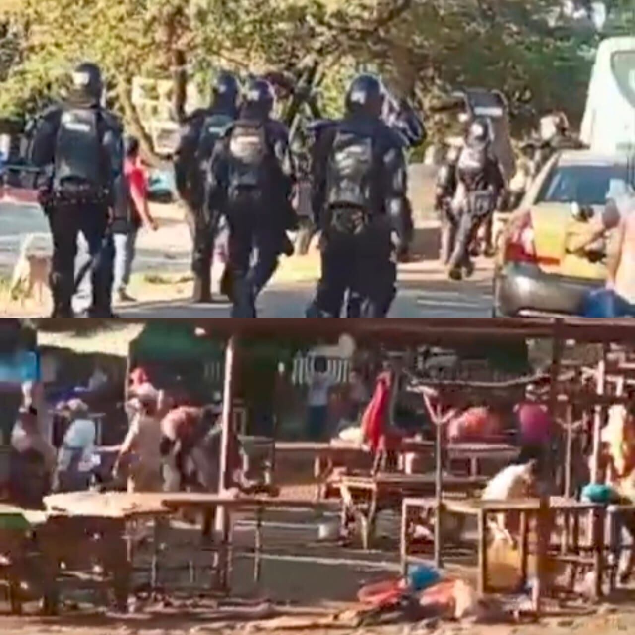 Golpe al tráfico de cárnicos y lácteos en zona rural de Cúcuta / Foto: Cortesía