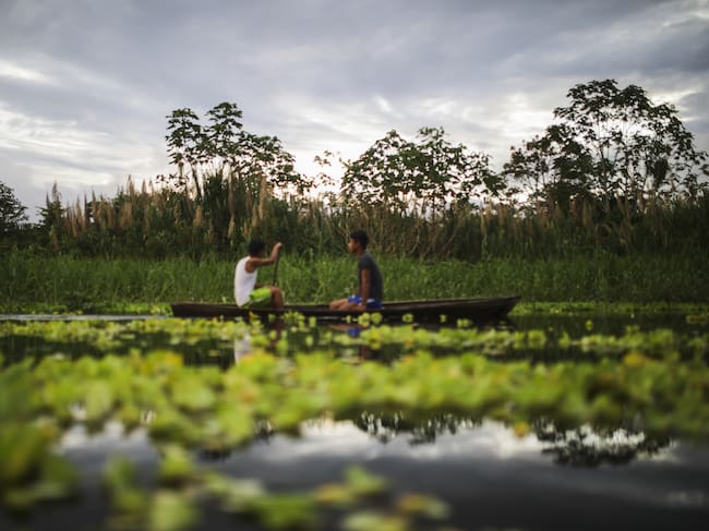 De acuerdo con el Sistema Nacional de Parques (SPNN), el 82% de la deforestación se concentra en tan solo el 9,8% de los territorios del sistema (seis de 61 áreas protegidas). Estas corresponden a los Parques Nacionales Naturales (PNN) Tinigua, Sierra de La Macarena, Serranía de Chiribiquete, Cordillera de los Picachos y La Paya, así como a la Reserva Nacional Natural Nukak. En Conjunto, entre 1990 y 2024, se han perdido 212.780 hectáreas de bosque. | Foto: Getty Images