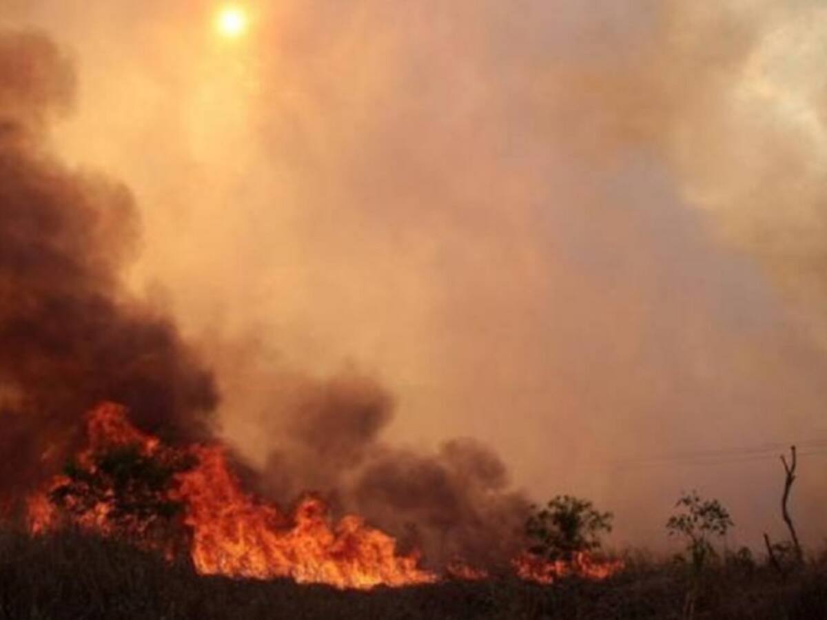 Organismos de socorro tratan de controlar incendio forestal que se genera en la vía Ibagué – Rovira