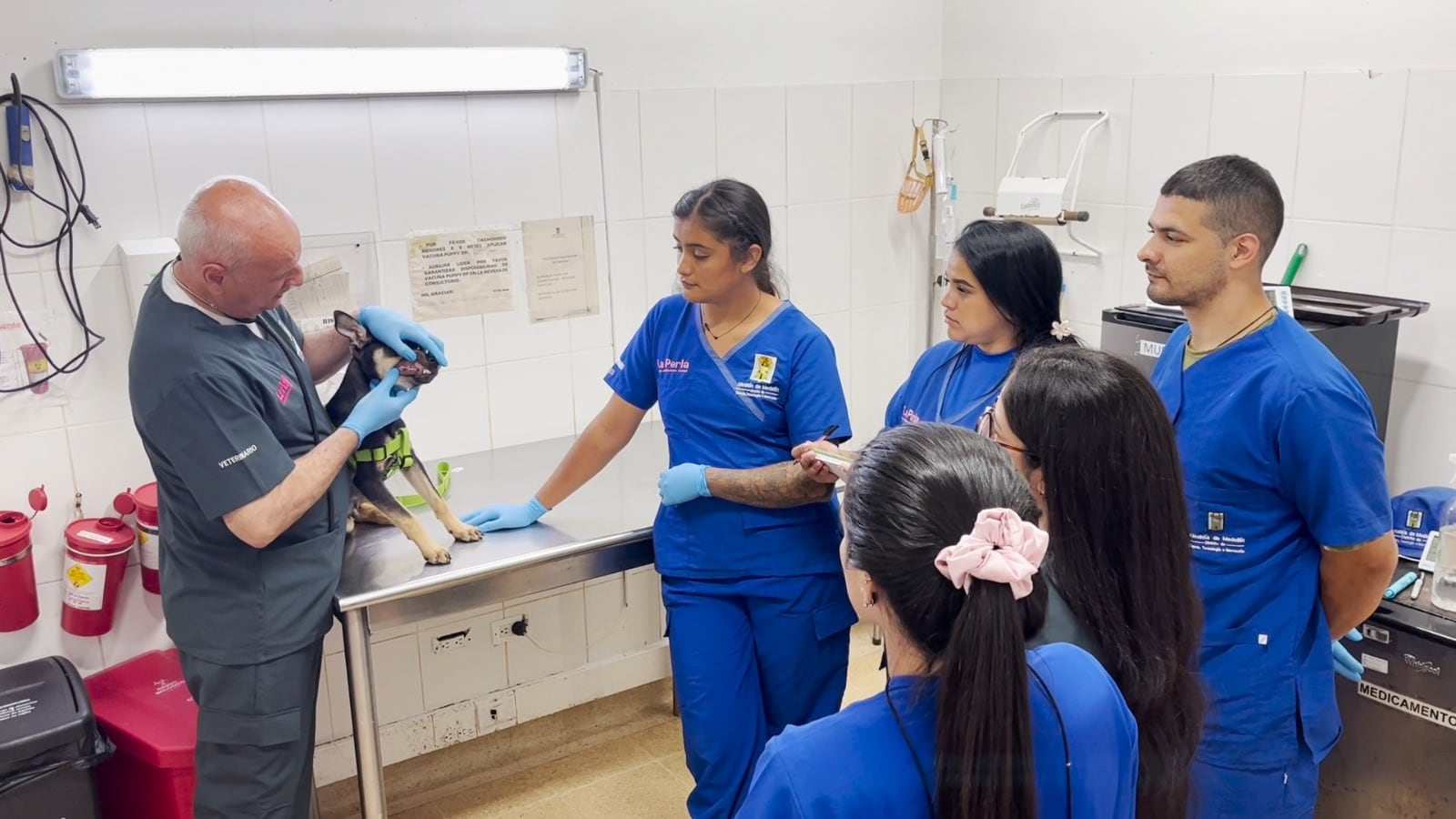 Foto: Alcaldía de Medellín