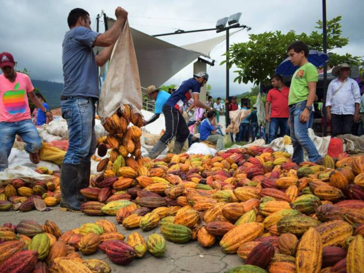 Las quemas destruyen y deterioran la capa vegetal de los territorios