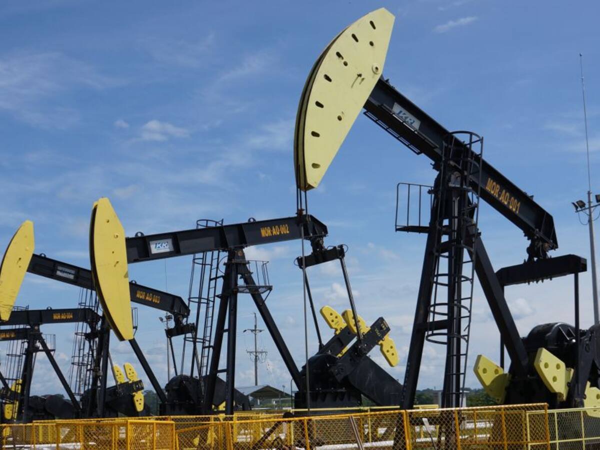 Ecopetrol efectuaría perforaciones en Kalé y Platero a finales del año