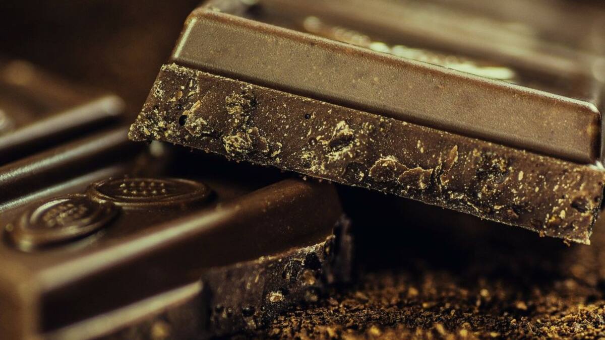 CACAO Y MÁS CACAO
