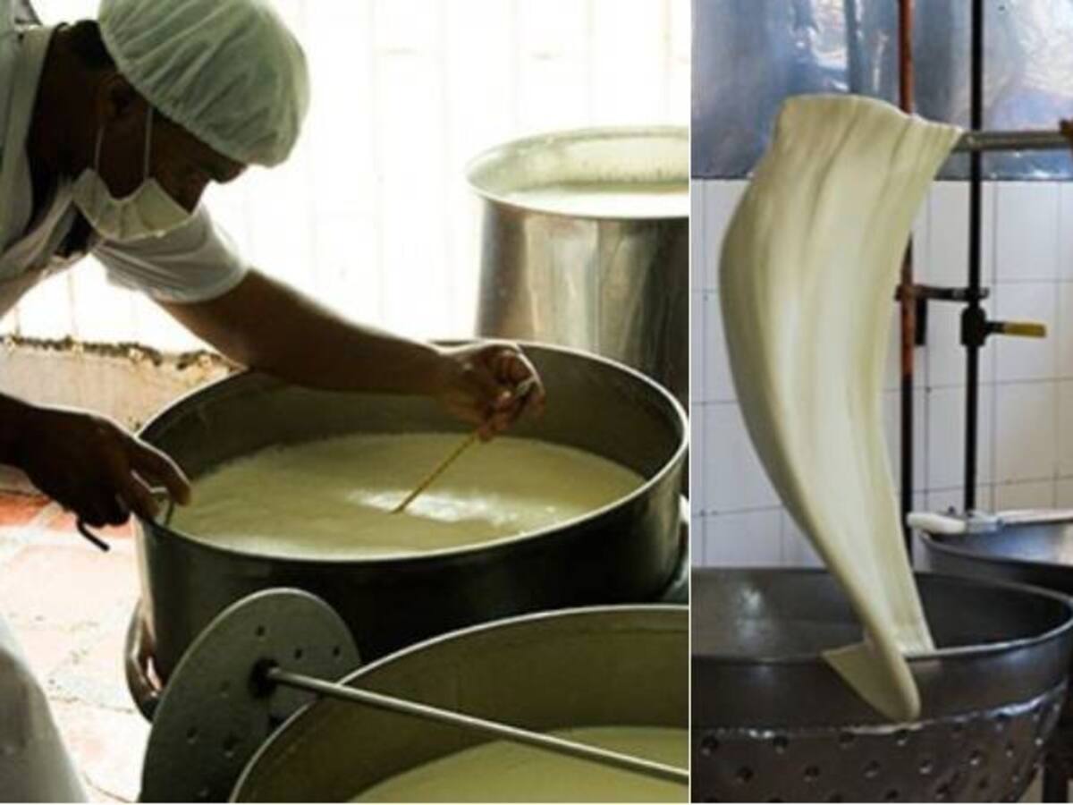 Quesos del Caquetá para Colombia