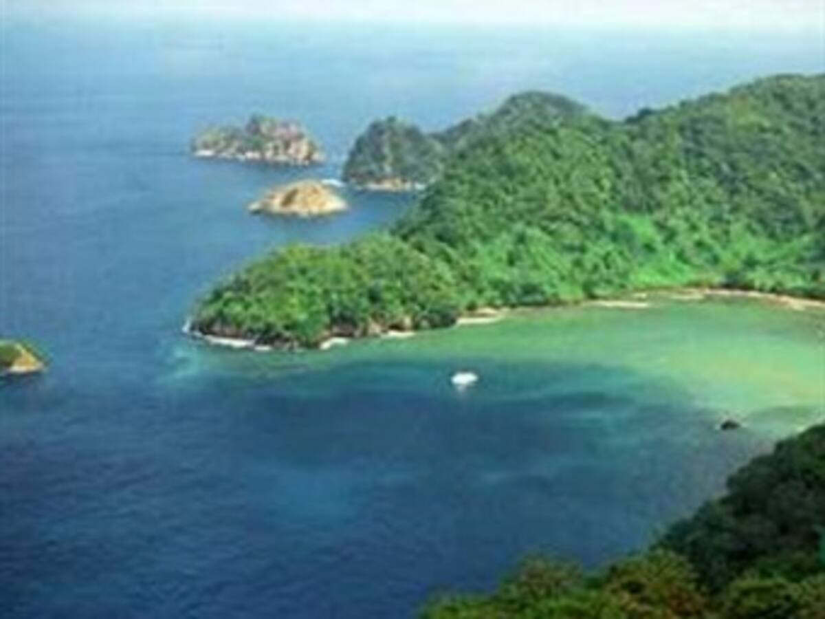 Gatos, cerdos y ratas amenazan el ecosistema de Isla del Coco, en Costa Tica