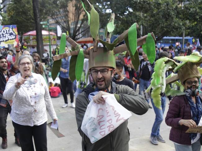 Procuraduría pide explicaciones por tala de árboles en Bogotá