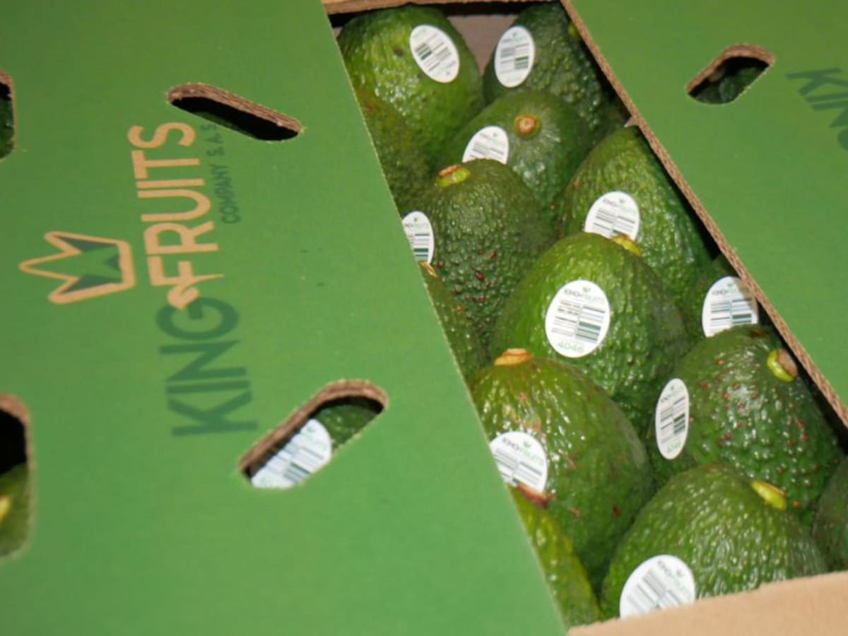 Puerto de Santa Marta envía primera carga de aguacate hass a Estados Unidos
