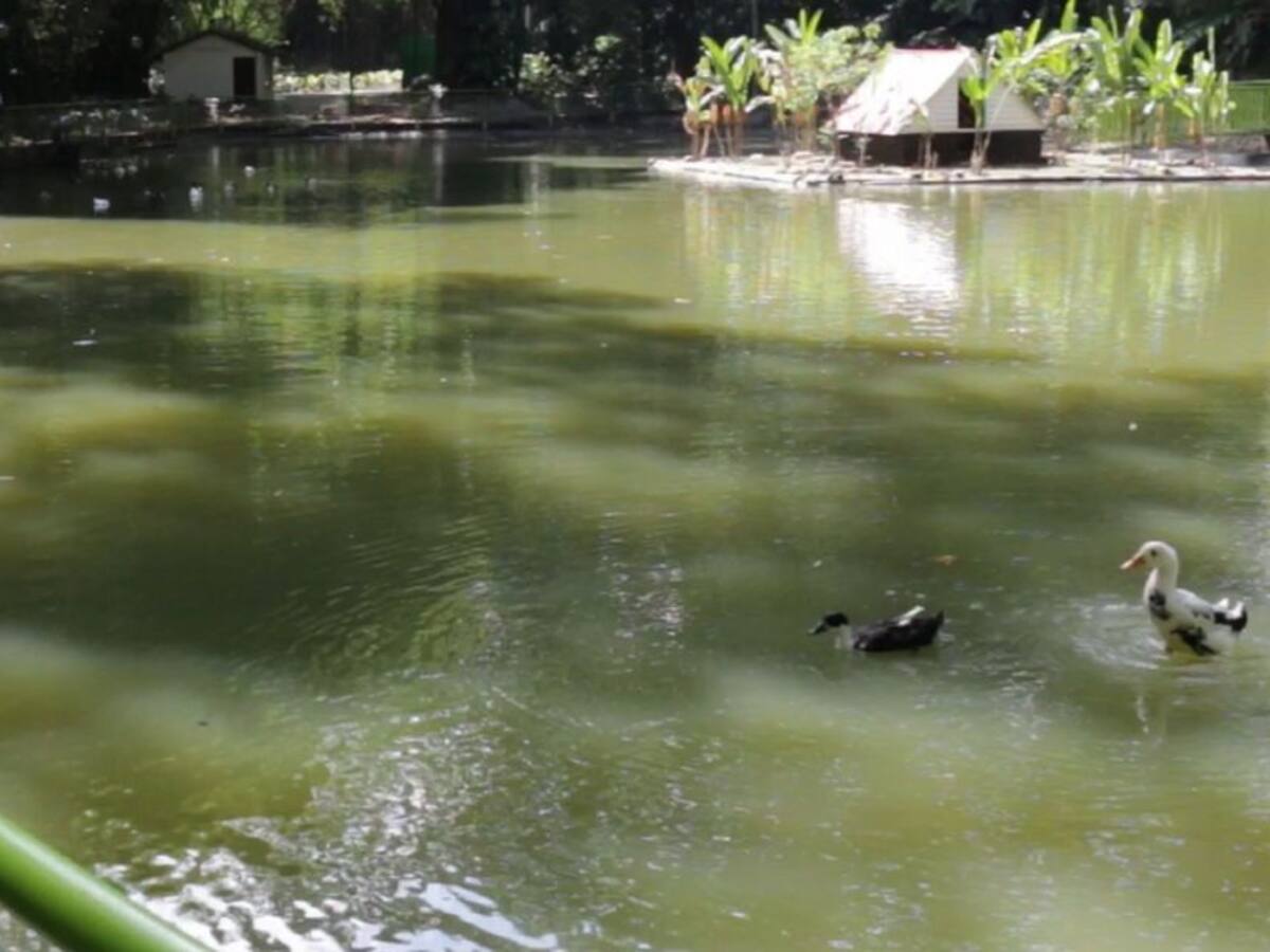 Listas obras en el Jardín Botánico