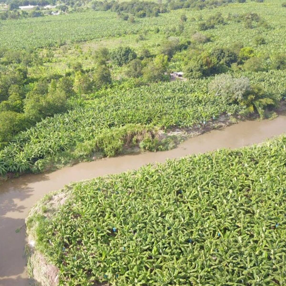 Corte y Gobierno coinciden en que se deben tomar acciones para proteger los rios del país