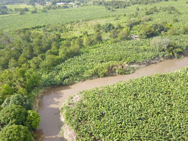 Corte y Gobierno coinciden en que se deben tomar acciones para proteger los rios del país