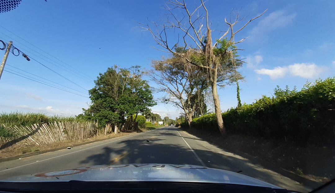 La mezcla de verde y azul por estos días en el cielo del Quindío