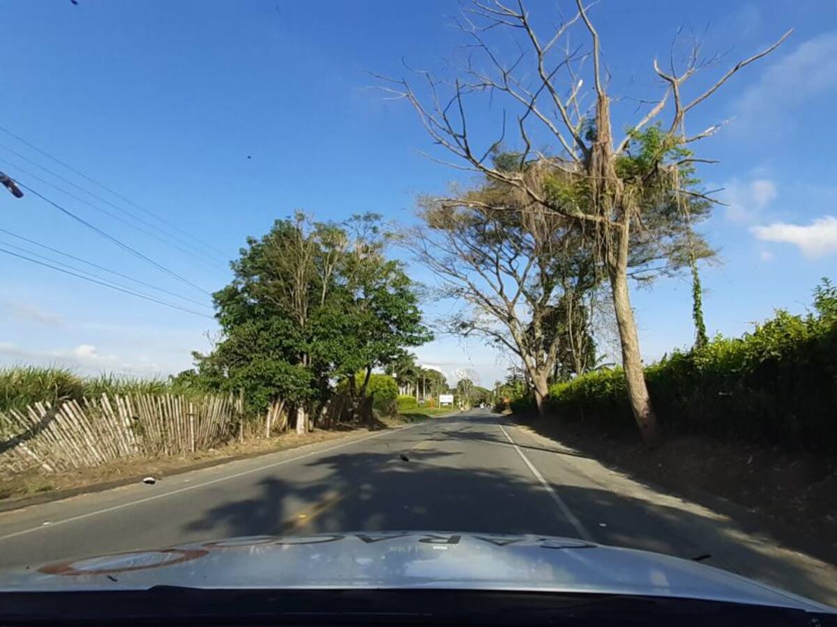 Las noticias más importantes de Armenia y Quindío, jueves 6 de febrero