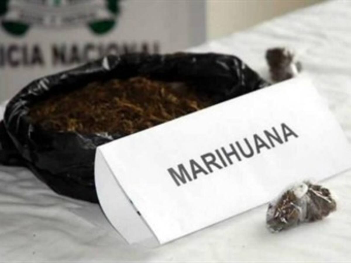 Incautan una tonelada de marihuana en el sur del país