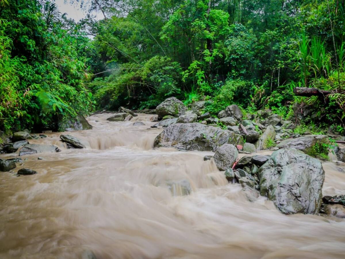 Ibal denuncia retraso en proyecto de captación de agua por demoras de Cortolima