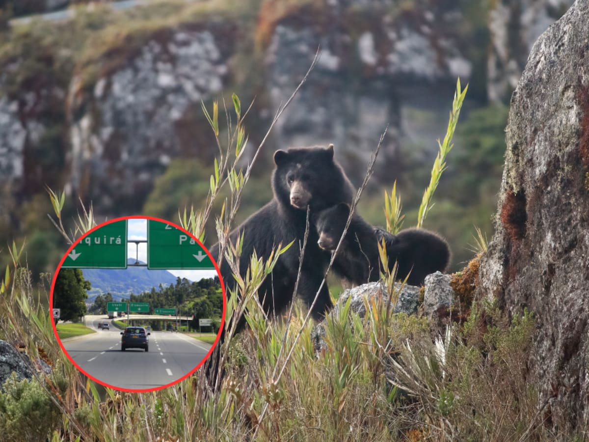 ¿Cómo llegar al Parque La Poma en Soacha? Ruta, medios de transporte disponibles y precio