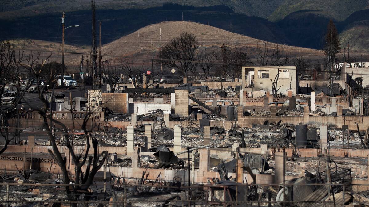 Respuesta del Gobierno ha sido negligente: colombiano que reside en Hawái sobre incendios
