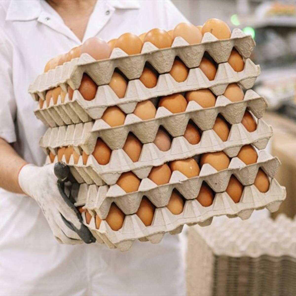 Fenavi pronostica aumento de precio del huevo y el pollo por cierre de la vía al Llano