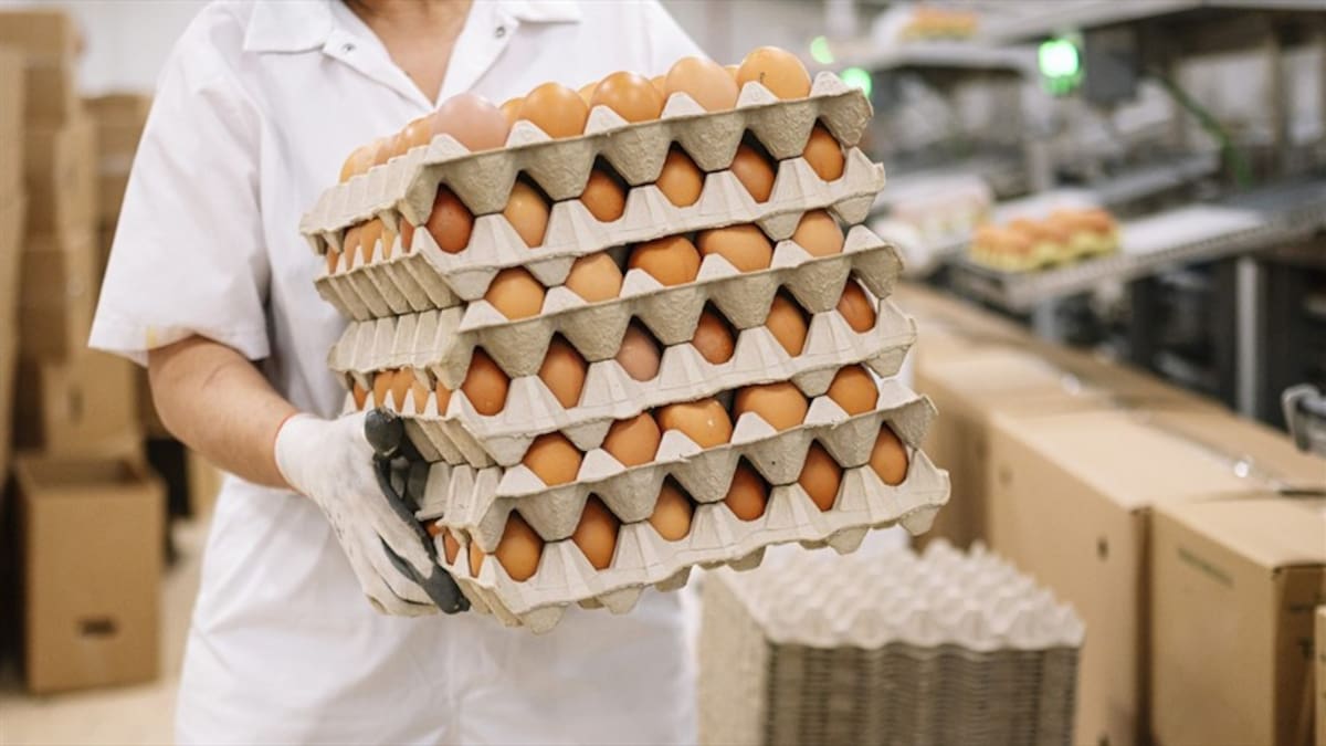 Fenavi pronostica aumento de precio del huevo y el pollo por cierre de la vía al Llano