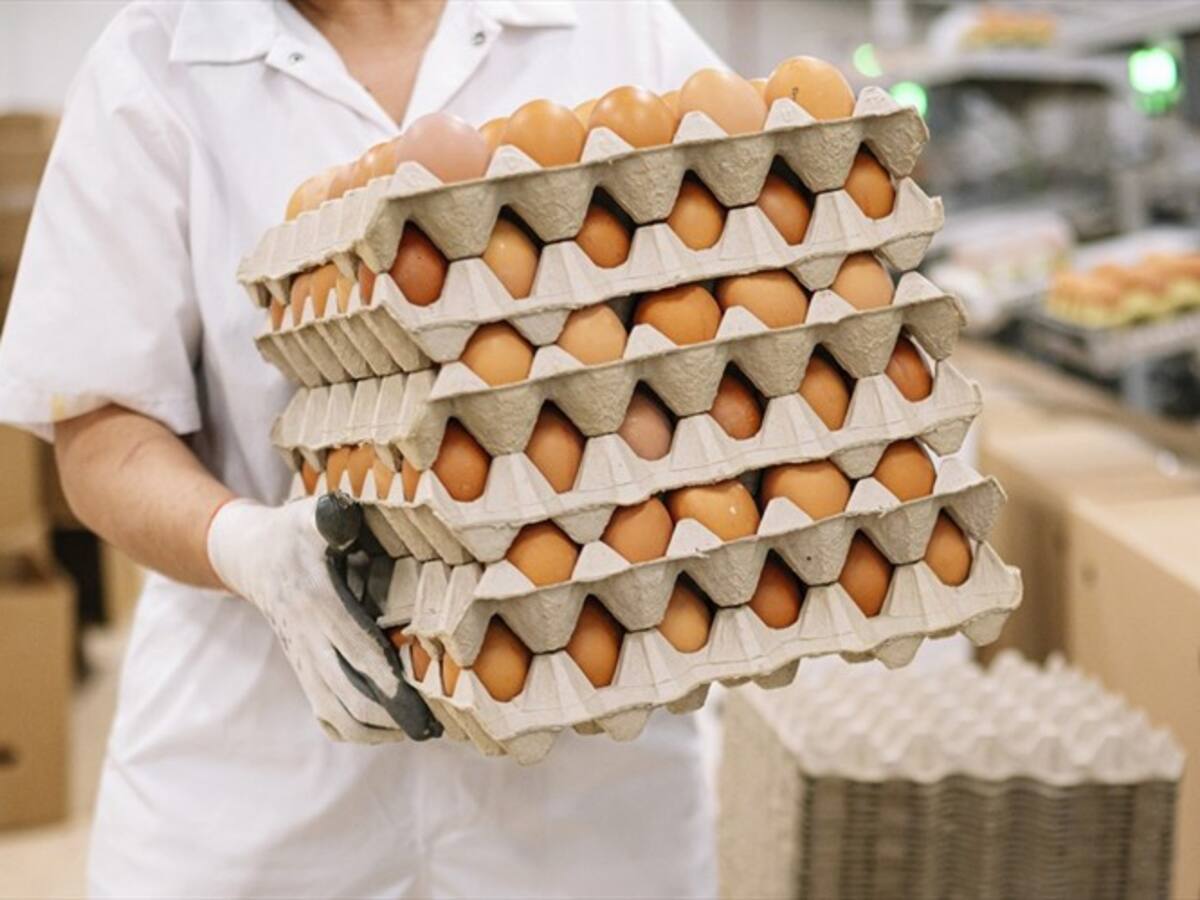 Fenavi pronostica aumento de precio del huevo y el pollo por cierre de la vía al Llano