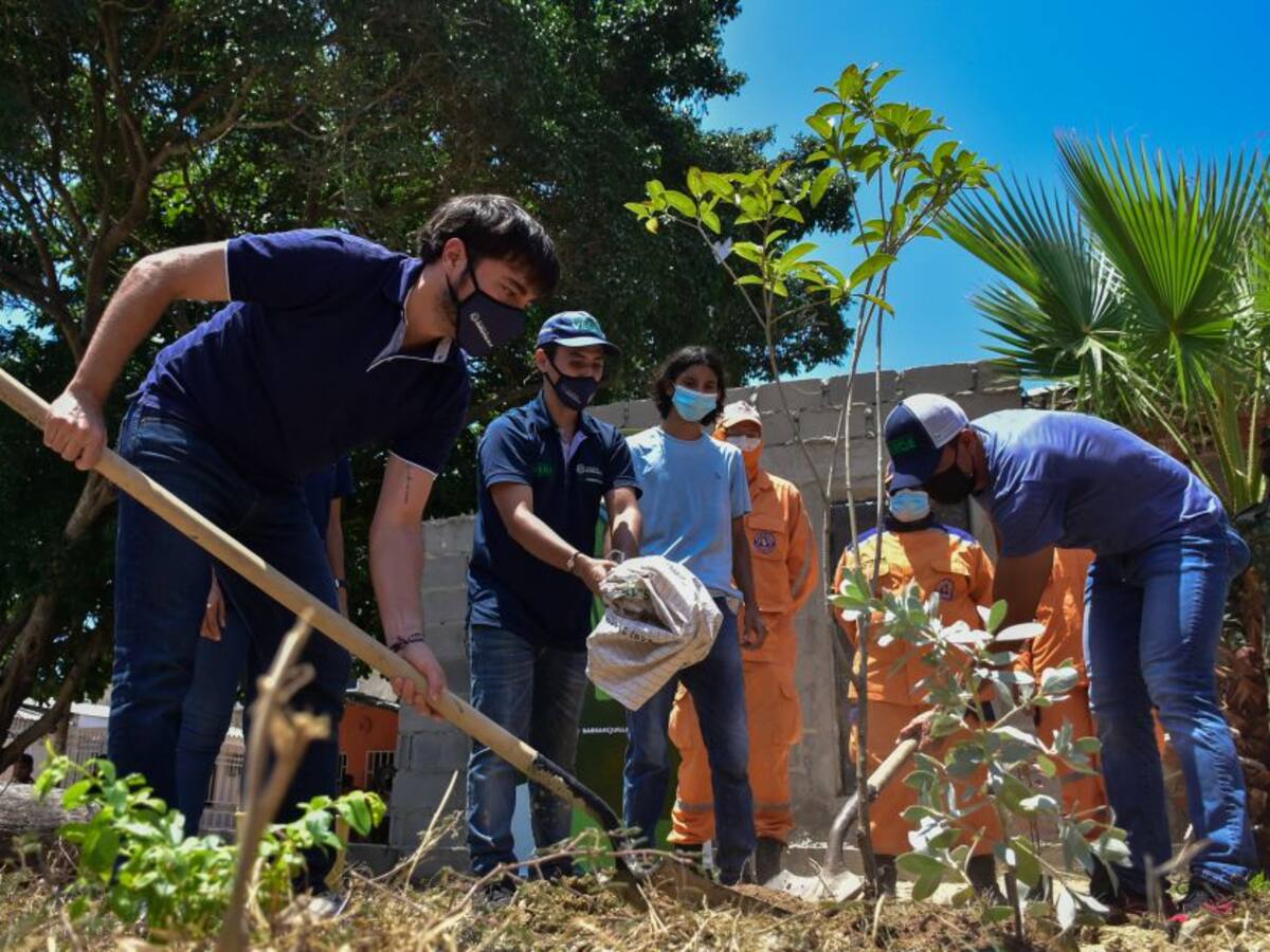 Con BAQCultiva Vida se sembrarán 8.000 árboles frutales en Barranquilla