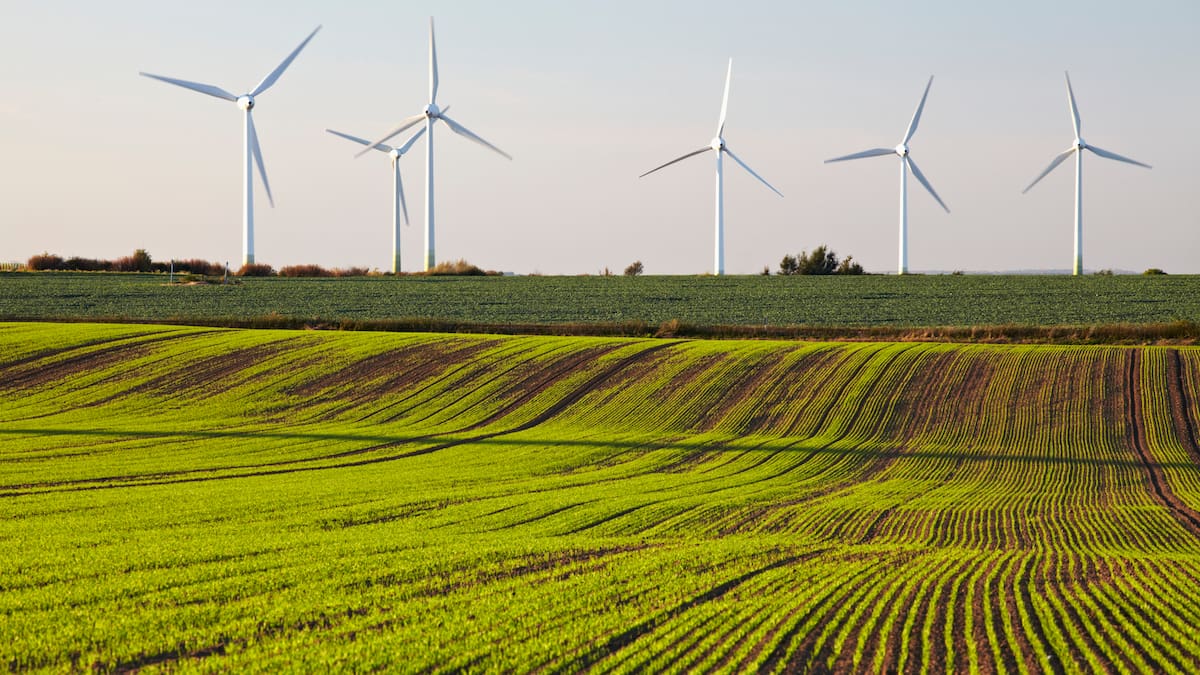 Buscaremos soluciones: comisario europeo de Clima llegó a Colombia a impulsar transición energética