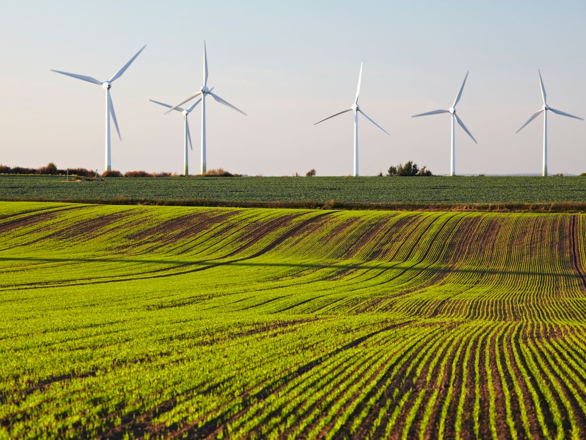 Alemania y Colombia unidos por una Transición Energética Justa
