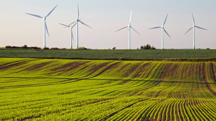 Alemania y Colombia unidos por una Transición Energética Justa