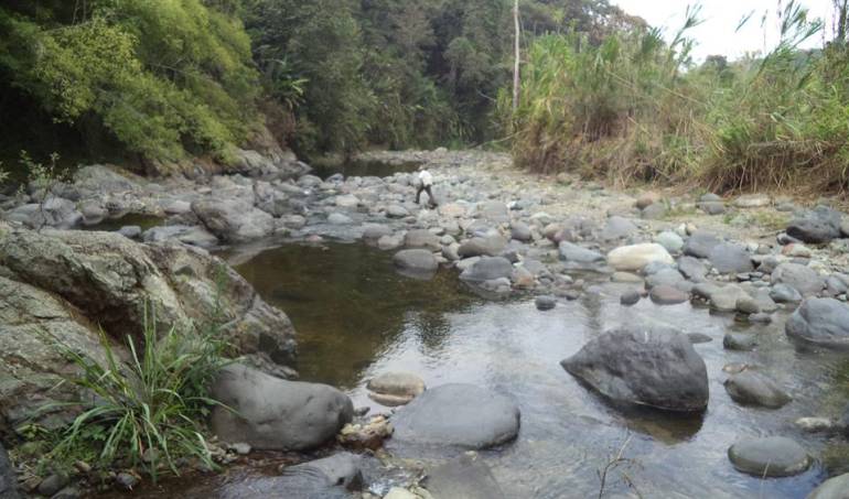 El último monitoreo de los caudales de los ríos y quebradas, el río Quindío estaba captando 900 litros de agua por segundo