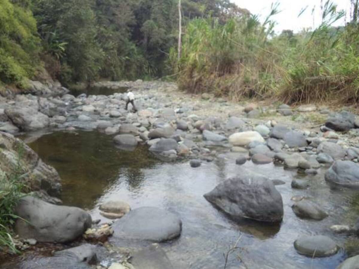 Crítica reducción del caudal del río Quindío reportan las autoridades ambientales