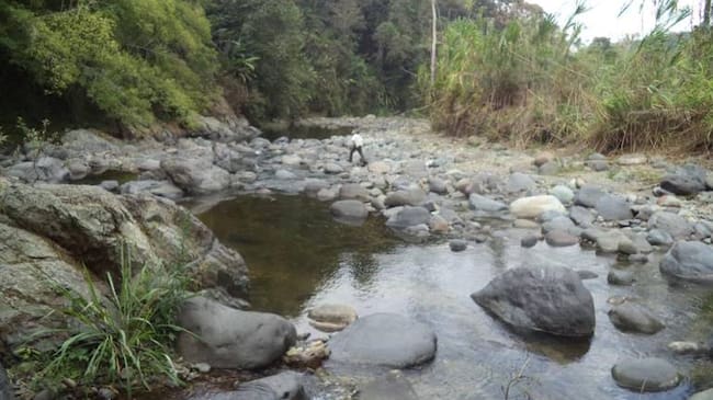 El último monitoreo de los caudales de los ríos y quebradas, el río Quindío estaba captando 900 litros de agua por segundo