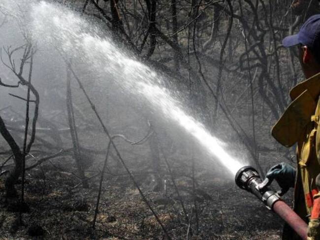 Más de 40 incendios forestales activos se reportan en el Tolima