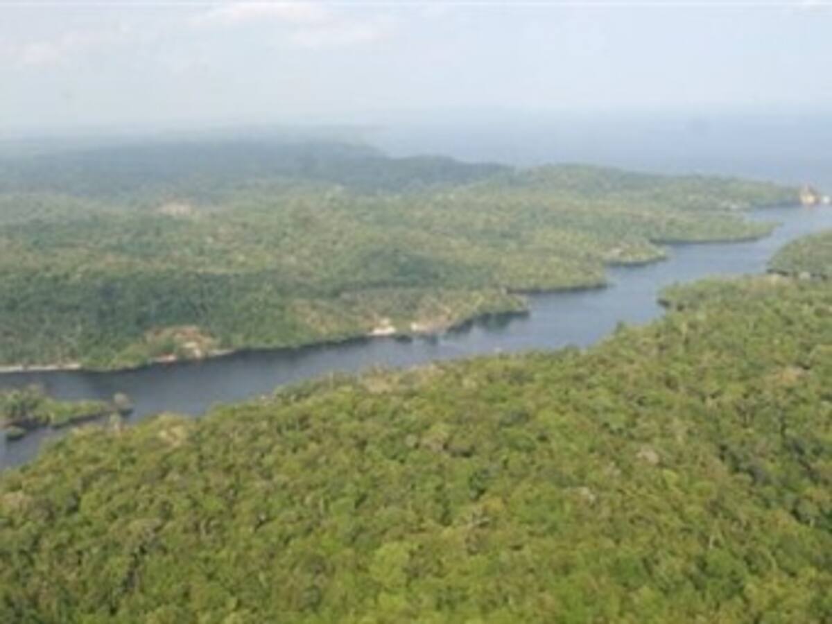 Congreso pide a Invima aclarar que peces del Amazonas no contienen mercurio