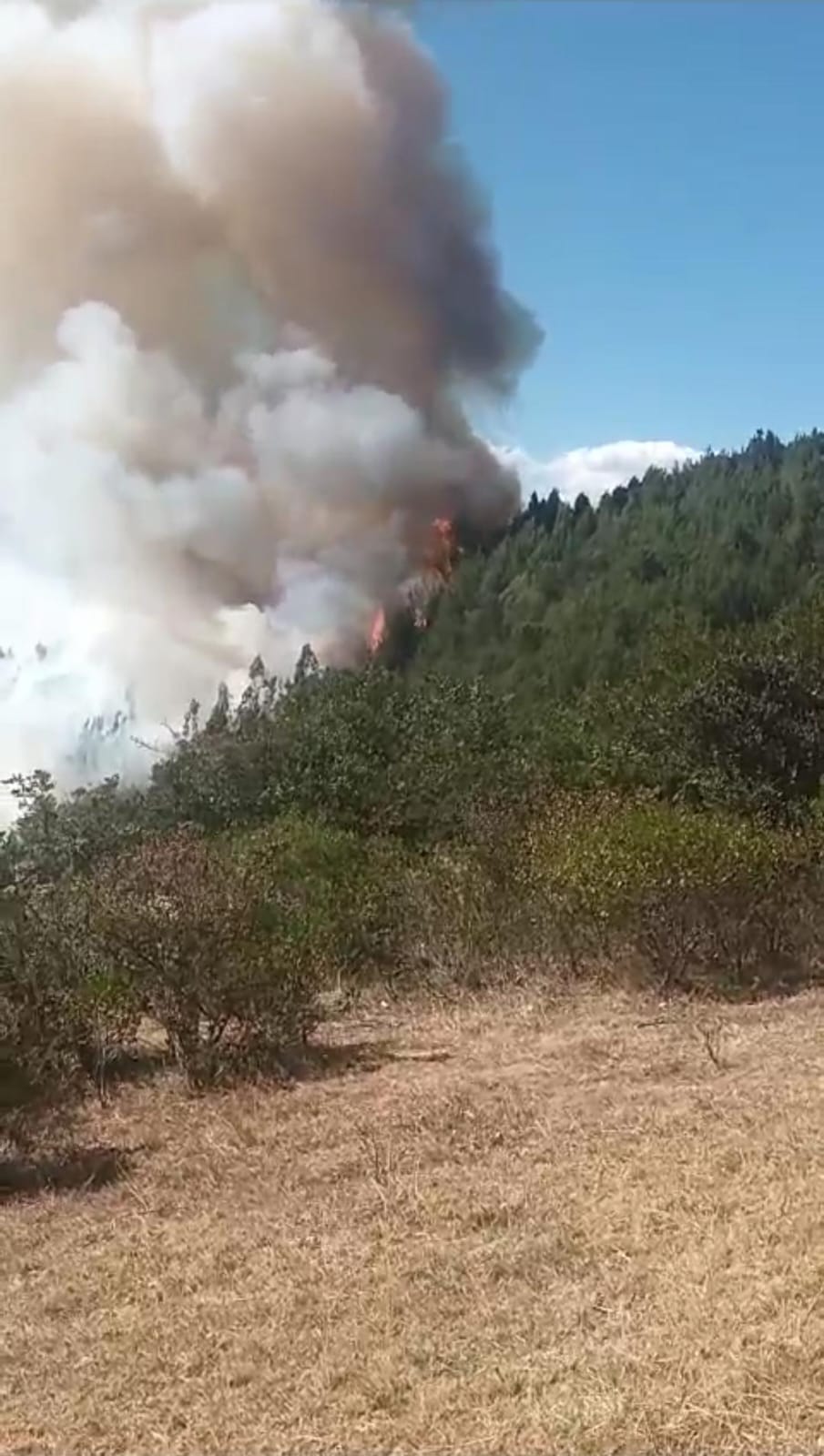En los municipios de Sogamoso y Susacón se presentan incendios forestales en los que las autoridades intentan controlar. / Foto. Suministrada