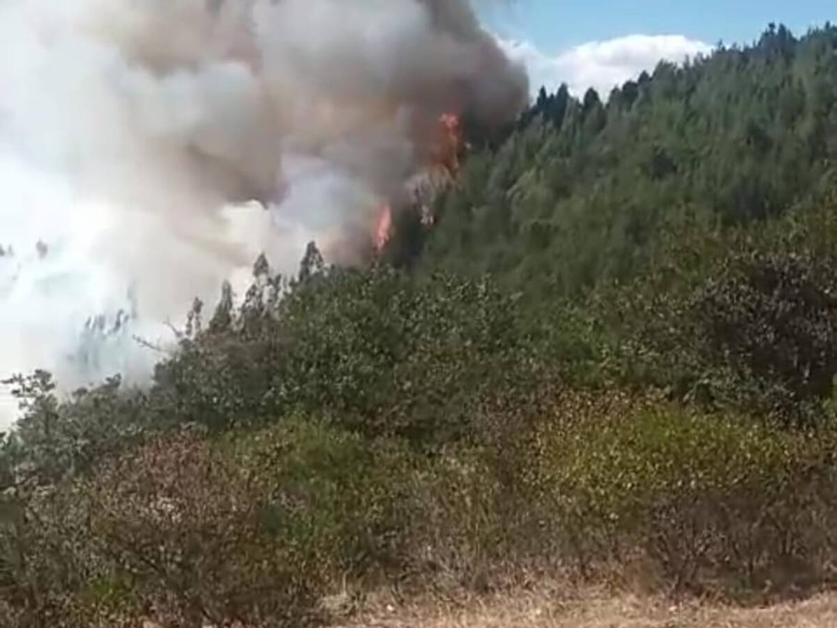 Incendios forestales en Boyacá dejan una persona muerta y más de 546 hectáreas arrasadas