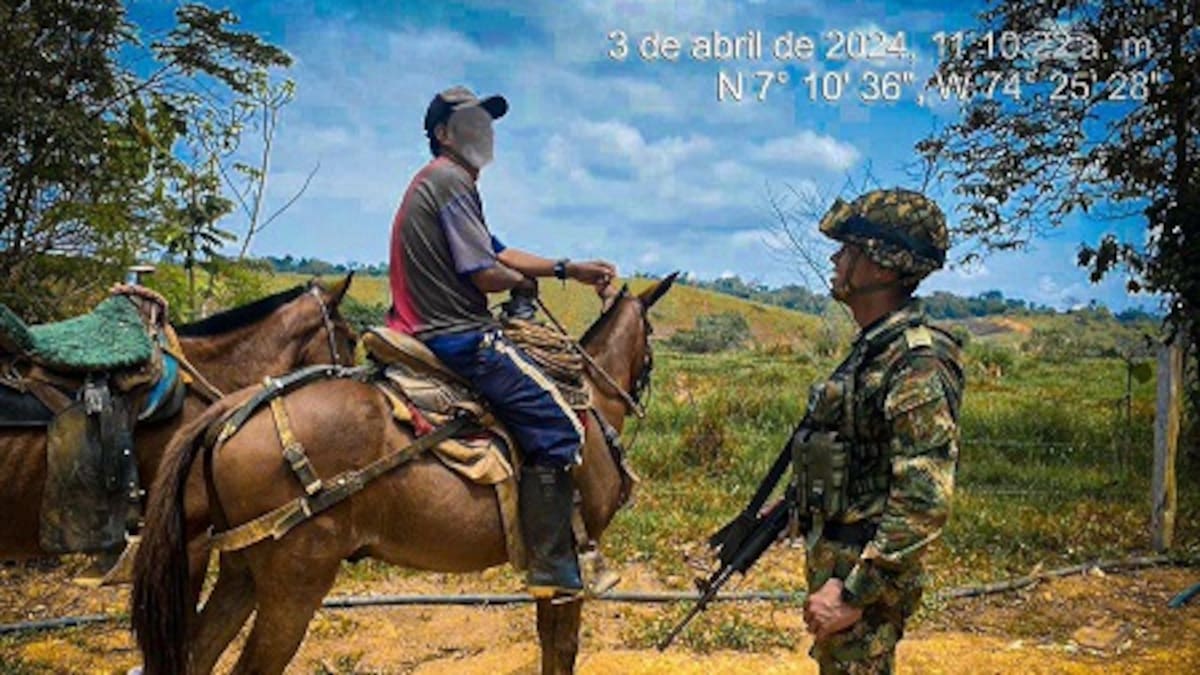 Con llegada del ejercito a vereda Lejanías, se espera que cesen los desplazamientos