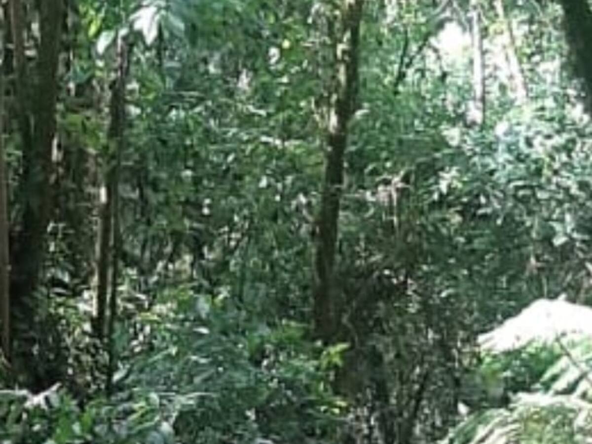 Una mujer muerta y cuatro personas heridas deja un siniestro vial entre Manizales y Bogotá