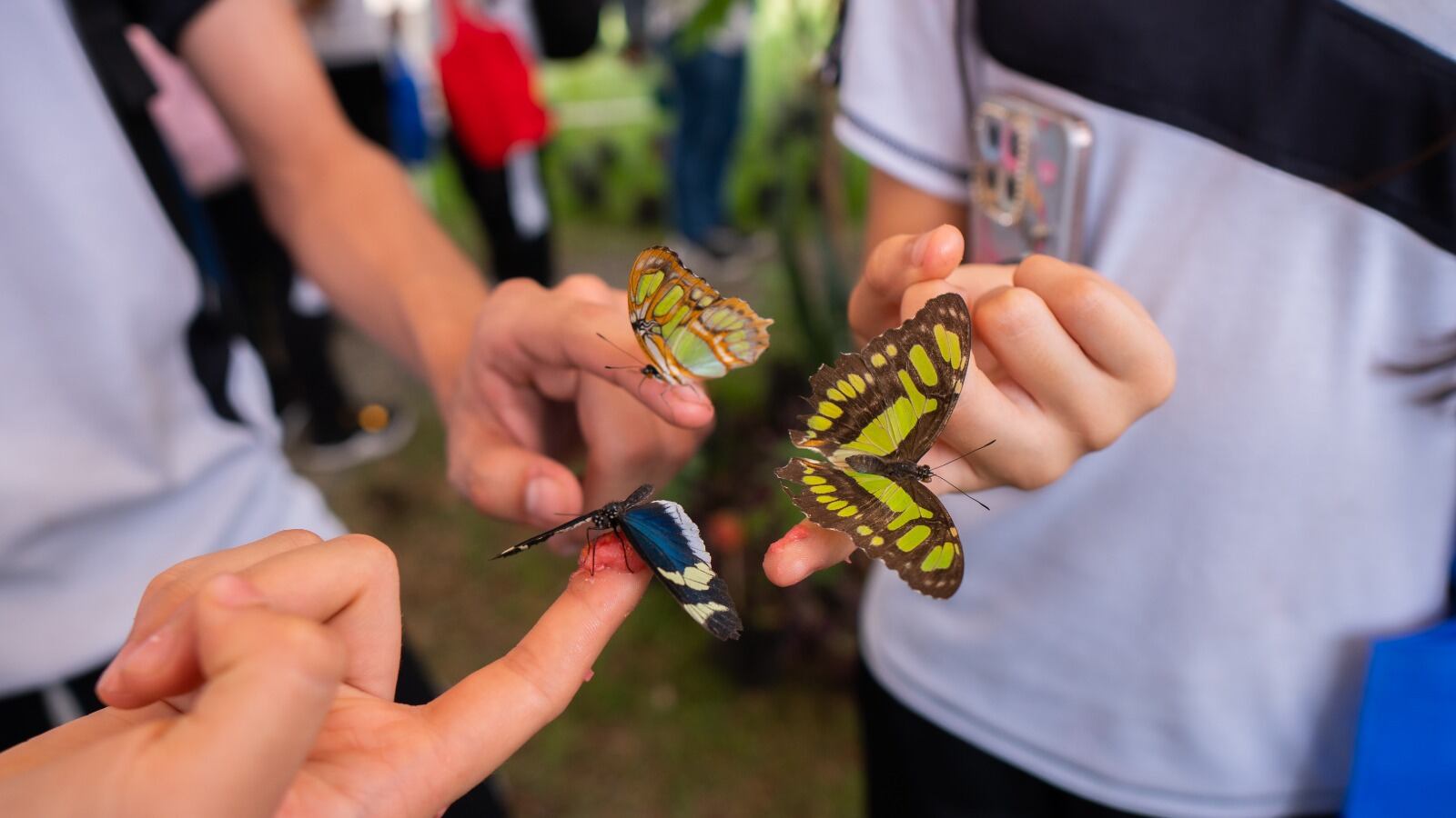 Cali está lista para liderar la conversación global sobre bioeconomía y desarrollo empresarial basado en naturaleza”, afirmó María del Mar Palau, presidenta ejecutiva de la Cámara de Comercio de Cali.