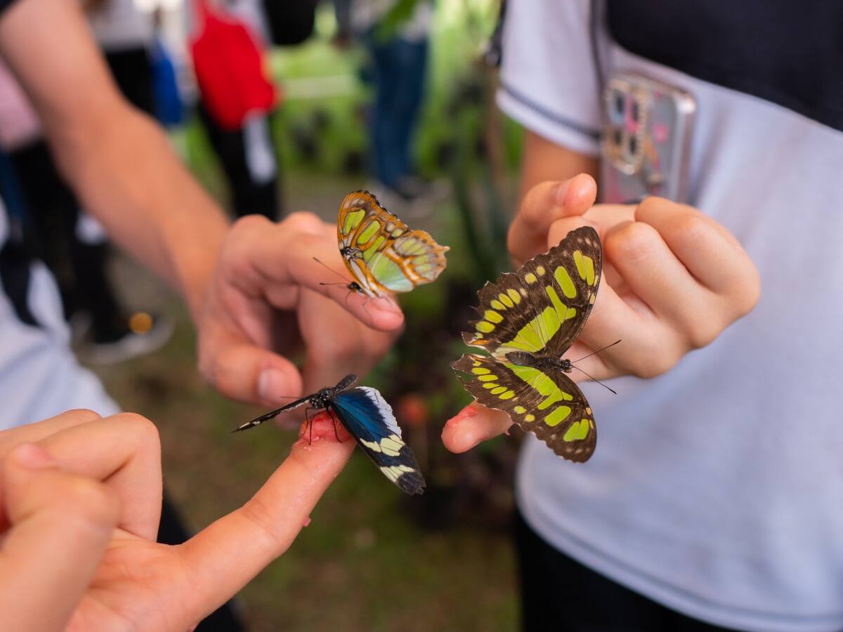 Más de 1.900 asistentes y $877 millones en ventas dejo Semana de la Biodiversidad en Cali