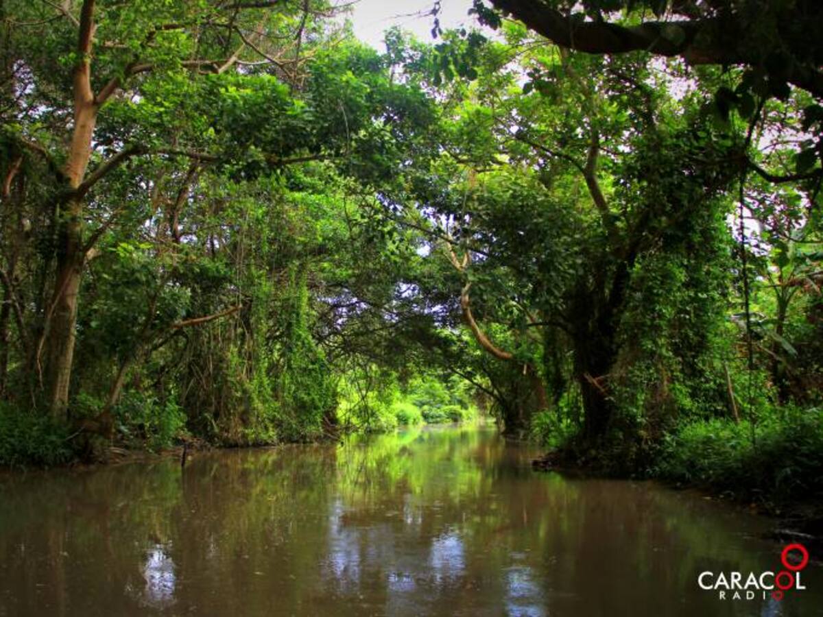 Parque Isla Salamanca: un aeropuerto internacional para las aves