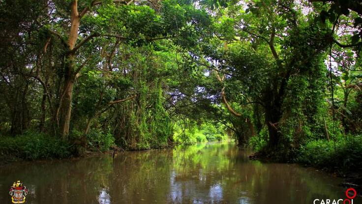 Parque Isla Salamanca: un aeropuerto internacional para las aves