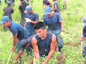Cerca del 40 % de la coca del país se encuentra en alguno de estos entes territoriales. Foto: El Tiempo