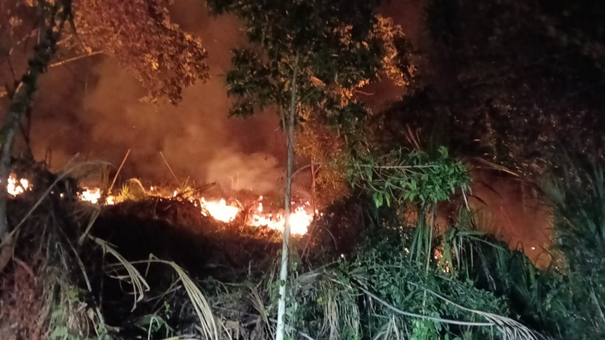 El anterior incendio en el área rural ocurrió en la vereda Concharí. Foto: Facebook Bomberos Anserma Caldas.
