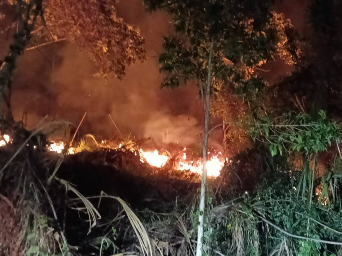 Un incendio acabó con algunas hectáreas de vegetación en zona rural de Anserma, Caldas