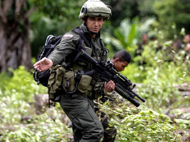 Policía espera dictamen sobre licitación para erradicación forzosa