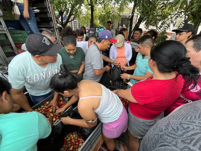 Remate de fresas en Betania. / Foto: Caracol Radio Cúcuta.