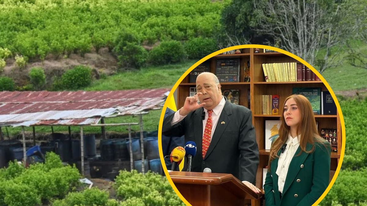 ¿Perderá Colombia la certificación antidrogas? Congresistas cuestionan estrategia del Gobierno